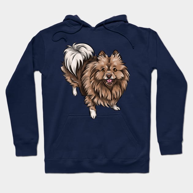 Cute German Spitz Mittel Hoodie by Shirin Illustration